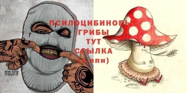 эйфоретик Баксан